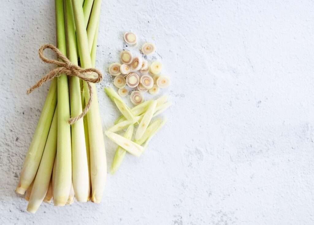 Lemongrass stalk