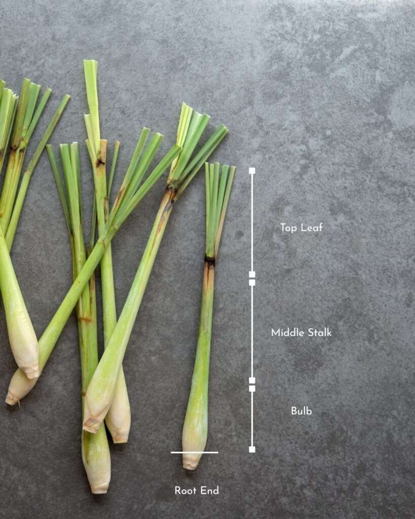 Lemongrass stalk parts